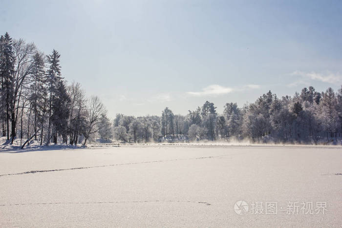 在公园的早晨冬天寒冷的风景.冬季景观.