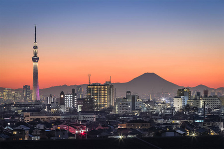 东京天空树地标与市中心大厦区域和山富士在冬天季节