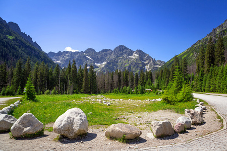 风景秀丽的 wlosienica 在 tatra 山地草甸