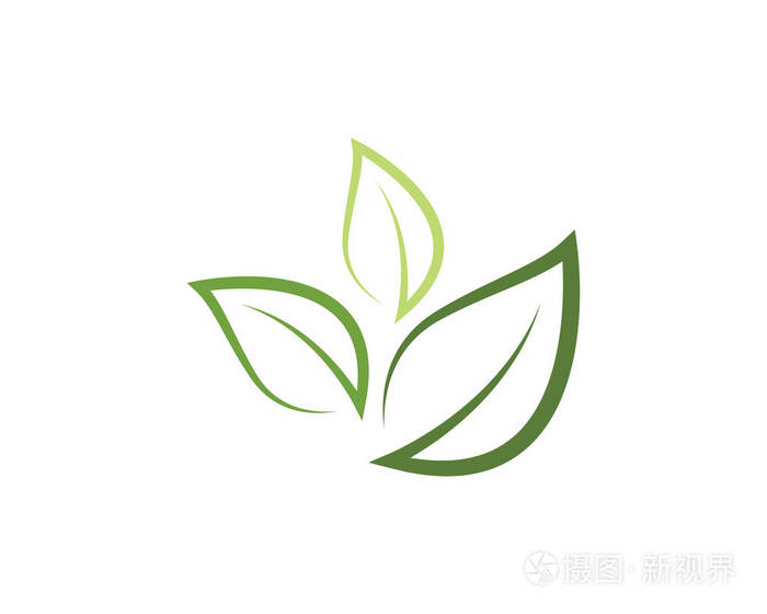 叶子生态学自然标志模板