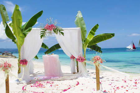 婚礼拱门帐篷饰上海滩，热带的花朵