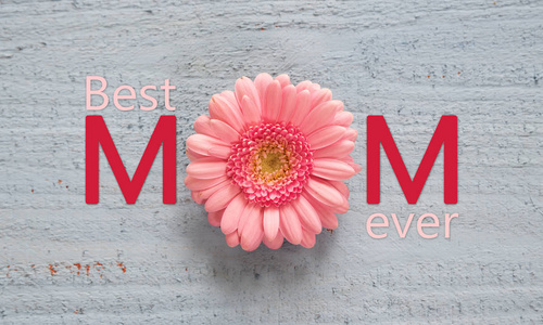 粉红色的非洲菊花在柔和的蓝色木质背景, 文本最好的妈妈有史以来, 顶部视图从上面, 母亲节的概念