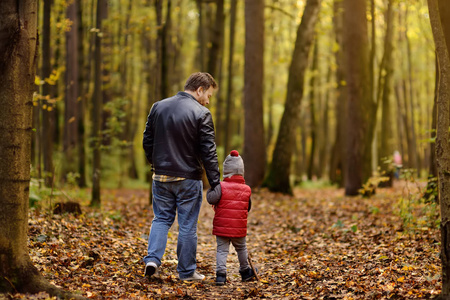 父亲和他的蹒跚学步的儿子在秋季森林远足活动期间散步。自然的家庭活动时间。乐趣与小孩子在秋季天