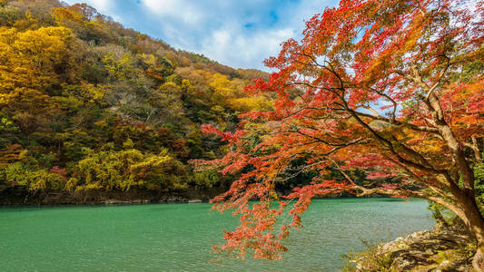 日本京都河沿岸的岚山