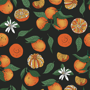 无缝橙柑桔与叶向量图案。多彩的背景
