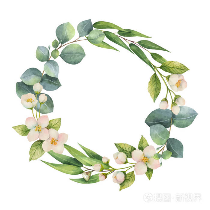 绿桉树叶,茉莉花和树枝的水彩矢量花环