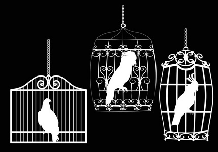 在笼子里的鸟