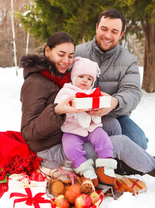幸福的微笑家庭与在冬季野餐