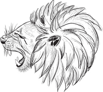 狮子头素描