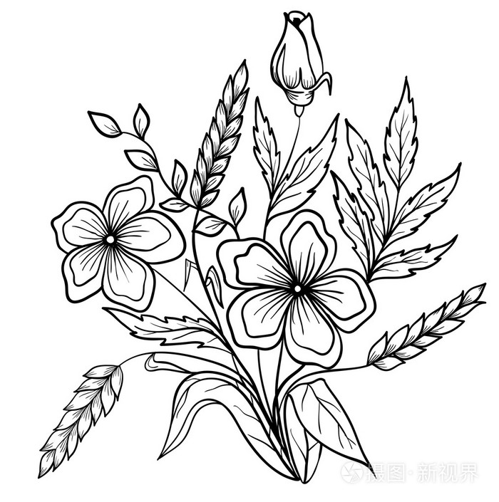 鲜花黑色和白色的安排.轮廓线的绘图