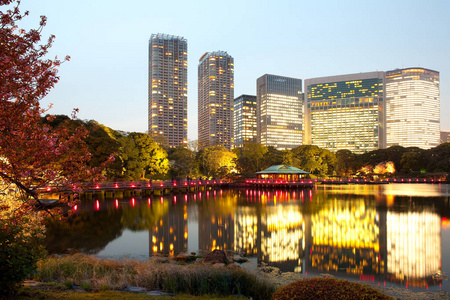 Hamarikyu 也哈马利休 公共花园和汐留地区的现代摩天大楼, 中央病房, 东京, 关东地区, 日本本州