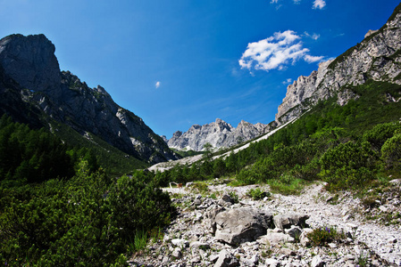 景观徒步旅行到 Pacherini 避难所从 Forni di Sopra