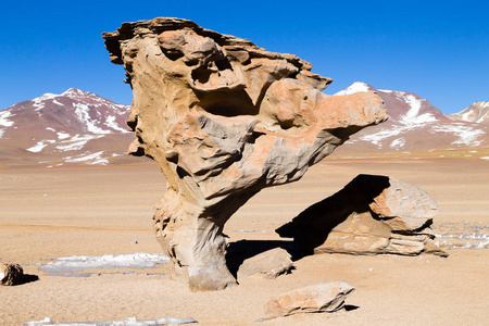 石树岩石, 玻利维亚