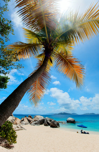 图片完美的海滩，在加勒比