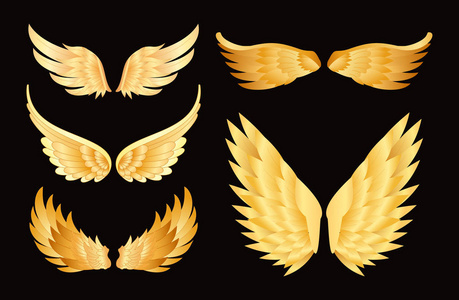 黑色背景下不同金色翅膀的矢量插图集