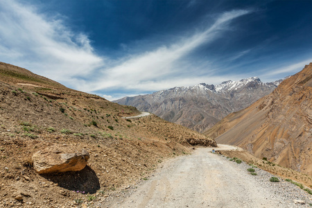 在喜马拉雅山的路