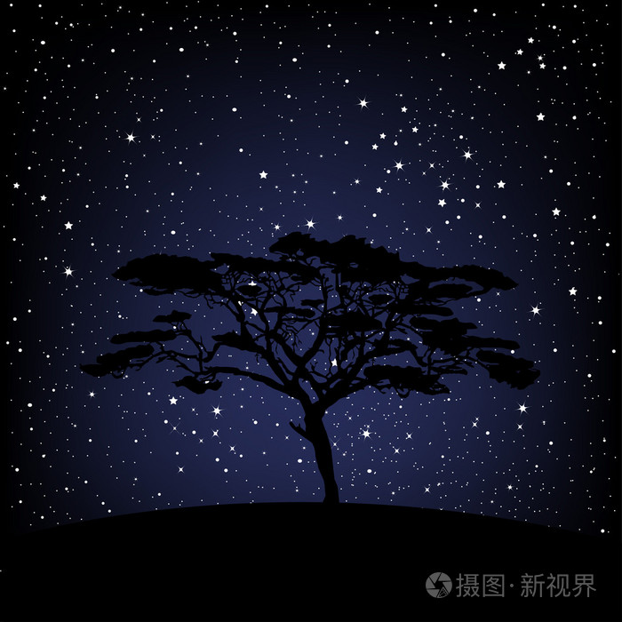 在繁星满天的夜晚树