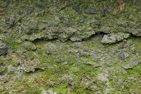 混凝土墙和苔藓的灰绿色石材质地