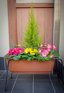 美丽的花朵挂在罐内户外家居装饰