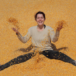 年轻开朗的微笑的女孩坐在堆的玉米作物后收获和投掷