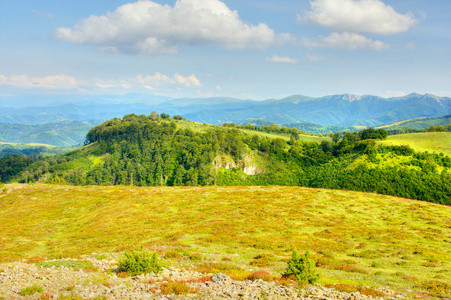 山风景