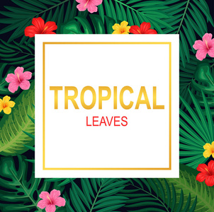 绿色夏季热带背景与异国情调的棕榈叶和芙蓉花。矢量插图