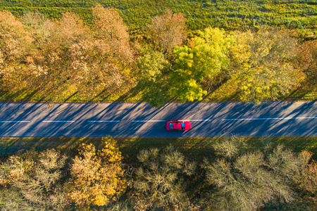 假期背景。秋季背景。从上面的道路上的红色汽车。红色的汽车在秋天的道路上移动在五颜六色的森林。秋季场景