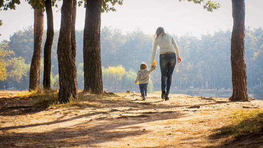 年轻母亲的剪影在秋天公园散步的学步男孩