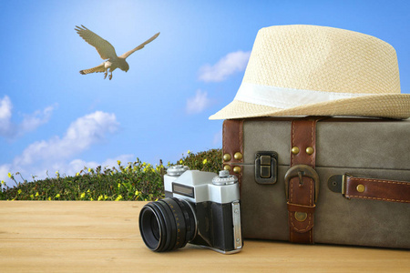 旅行者古董行李, 照相机和软呢帽帽子在蓝色天空和鸟前面的木桌。假日和假期概念