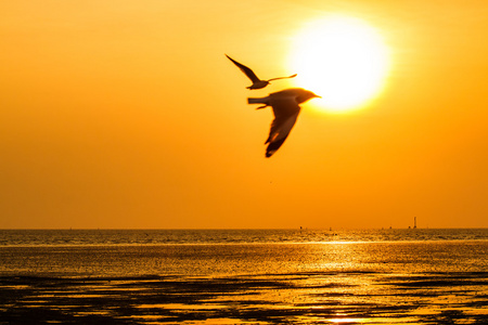 美丽的夕阳海面