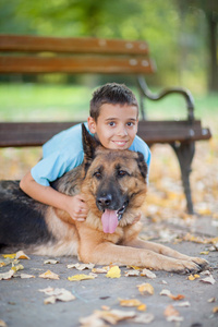 孩子在公园里的德国牧羊犬