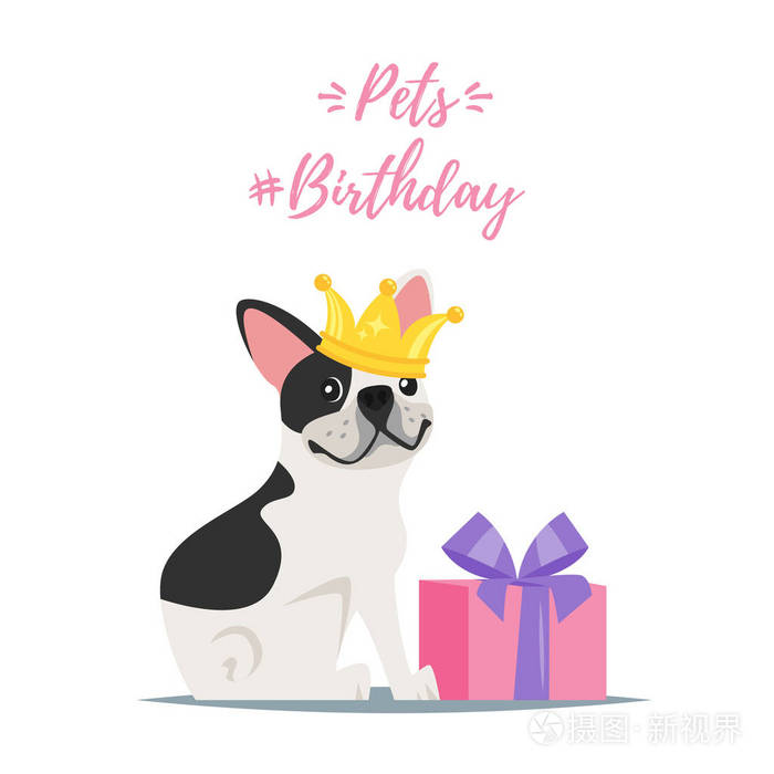 狗生日聚会贺卡