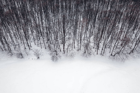 从上面的冬季森林。空中风景森林和雪