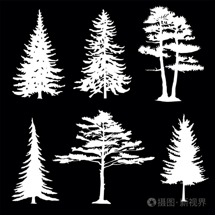 针叶树的轮廓集合插画-正版商用图片084kto-摄图新视界