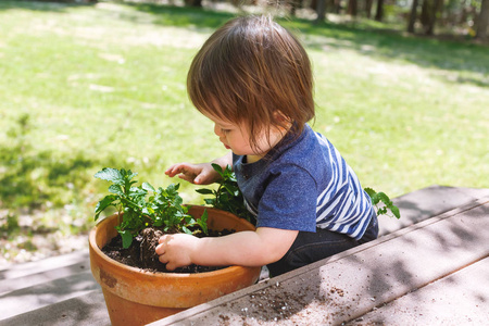 帮助在花园里种植植物的小孩男孩
