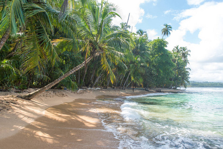 哥斯达黎加尼撒公园天堂野生海滩