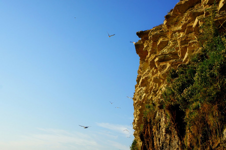沿海岩石, 海鸥飞来飞去, 明亮的蓝天