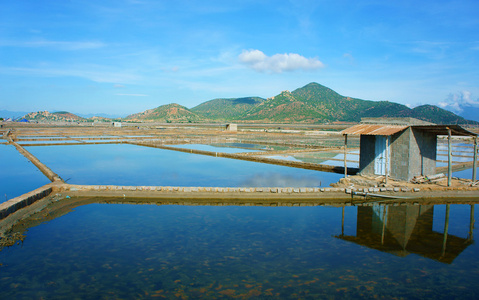 美丽的风景，盐渍提起，越南农村