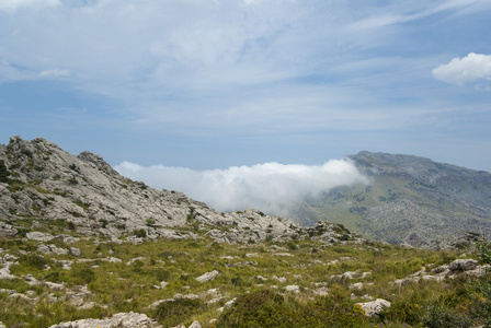 塞拉德 tramuntana