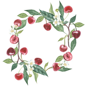 手绘水彩花环的樱花和树叶插图。在白色背景下分离的水彩植物学插图