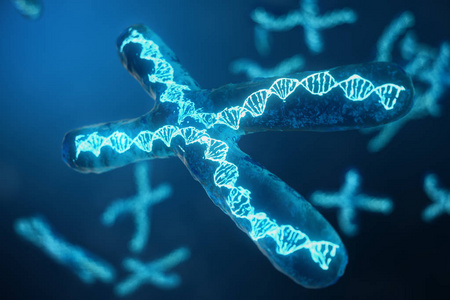 3d 插图 X 染色体携带基因编码的 Dna。遗传学概念, 医学概念。未来基因突变在生物层面改变基因编码