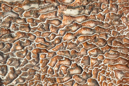石灰石表面以错综复杂的形态形成。质地是由流水多年在土耳其 Pamukalle。一个有趣的自然现象