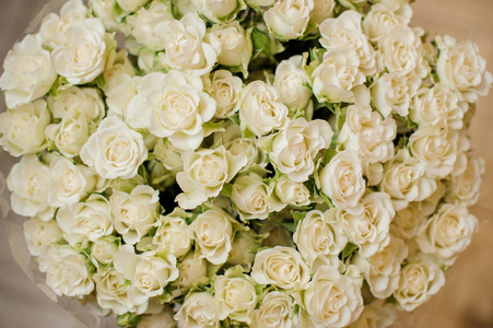 可爱的小白玫瑰点缀着绿叶图片