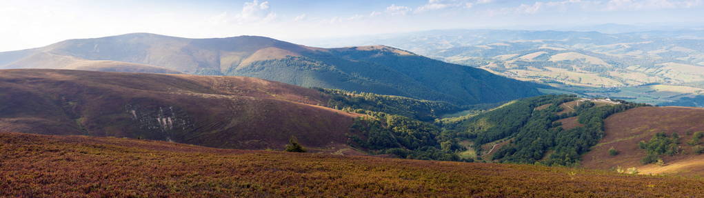 Borzhavsky 山脉的美丽景色, 乌克兰。夏日阳光下的山谷全景