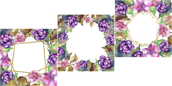 粉红色和紫色的 gardania。花卉植物花。框边框装饰广场。背景质地包装图案框架或边框的水彩画野花