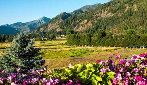 与花山景