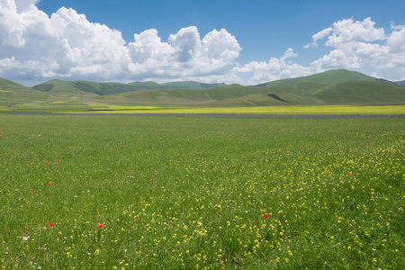 Castelluccio di 阿西西在锡比利尼公园