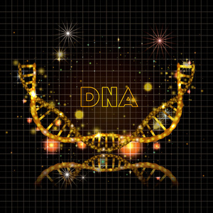 dna 分子半圆金结构