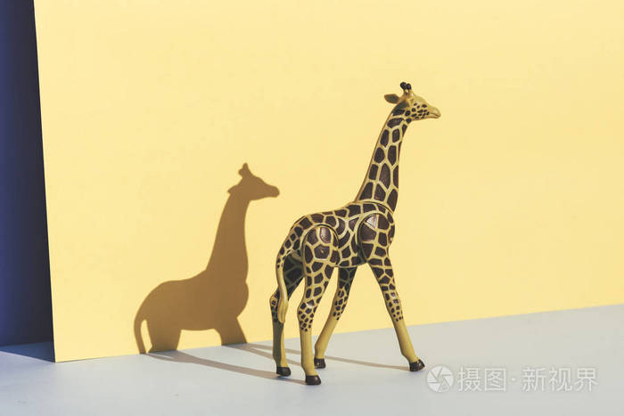 塑料玩具长颈鹿 在黄色和蓝色背景铸造它的影子
