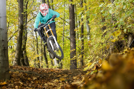 山地自行车骑自行车的人森林下坡秋天
